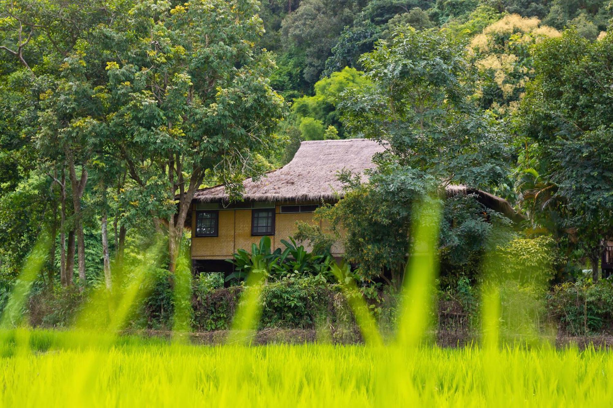 Hmong Hilltribe Lodge Mae Rim Exterior foto